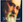SLK_img2pixel