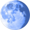 Pale Moon Portable (64bit)